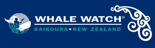 Whale Watch Kaikoura